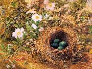 Hill, John William Bird's Nest and Dogroses oil painting on canvas